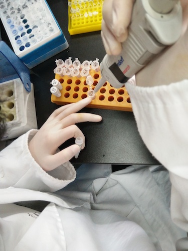 七月十九日 生命与环境科学学院国创项目“毅治毒”科研小分队 PCR母液的配制