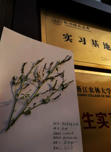 图片8