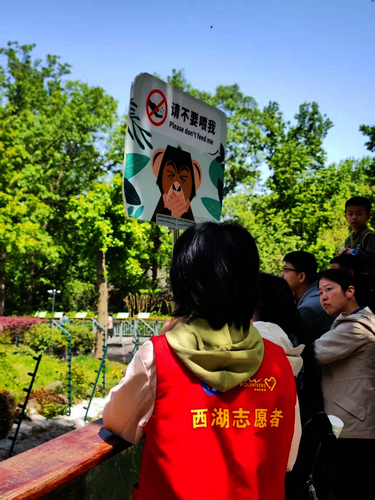 图片4