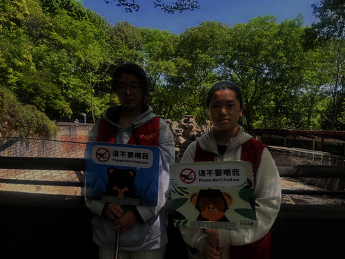 图片7