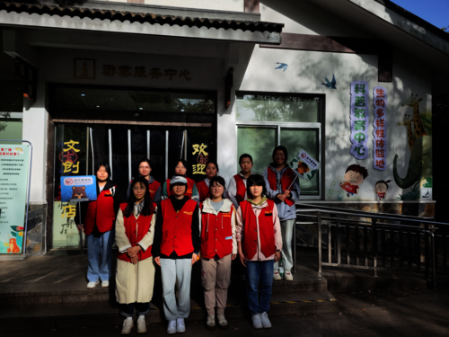 图片3