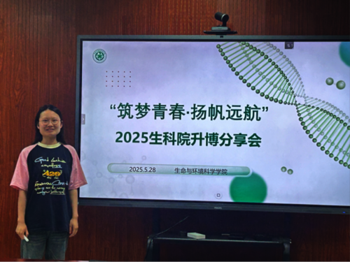 528图片2