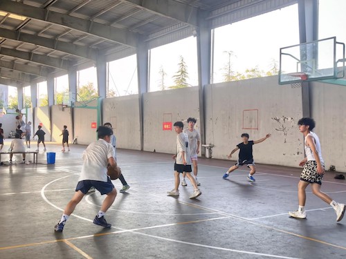 图片3