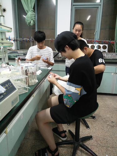 七月十三日 生命与环境科学学院  生科院赴杭州余杭区“五水共治”调查与研究分队社会实践小分队 总氮、总磷测定之分装试管