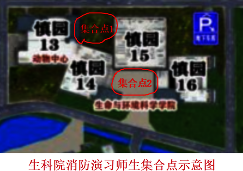 集合点