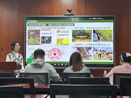 图片12